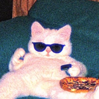 Логотип @kittiesyo - KITECAT🪐✨