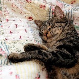 Логотип @kittigomay - .｡.:*･゜kitty go.｡.:*･゜ﾟ･･* ♡