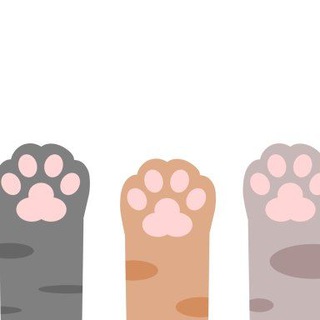 Логотип @kittypawpawpaw - У меня лапки