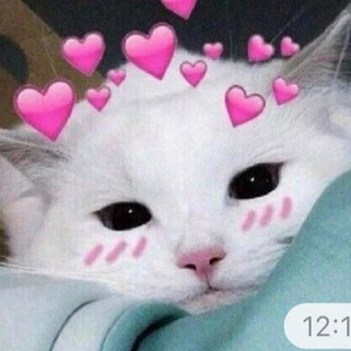 Логотип @kizki - гифки с котиками