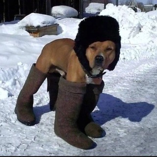 Логотип @kkaplyaa - Капля