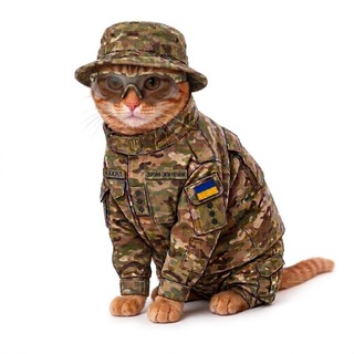 Логотип @kkk9l - КККЯЛ