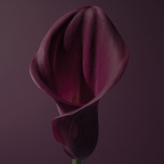 Логотип @kkkkkkkkmmh - Secret transformation ✨