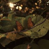 Логотип @kkkkkkvhh - Домик