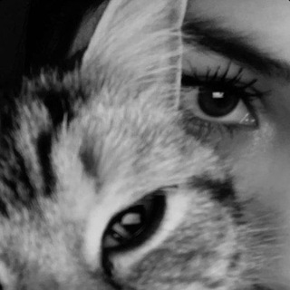 Логотип @kkkkkyfb - 𓃠❤‍🔥Музыка❤‍🔥𓃠