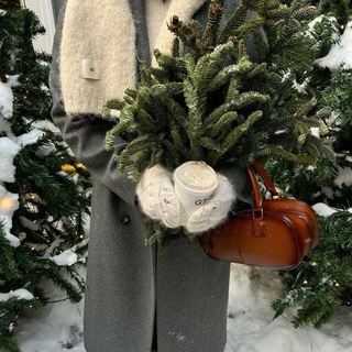 Логотип @kkotikiiqq - 🎄Ёлка намекает🩵