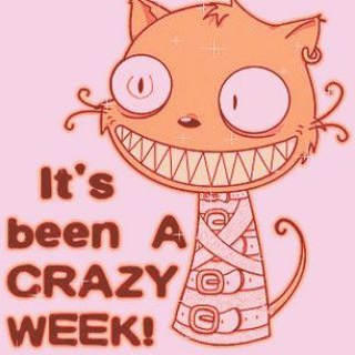 Логотип @kkustarr - ЗАБРОЩЕНО