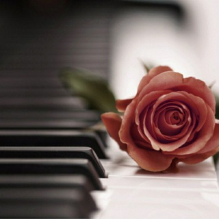 Логотип @klasik_dd - Классическая музыка. 🎶