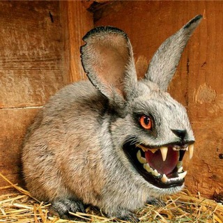 Логотип @klava_pupkina - Какая-то хуйня