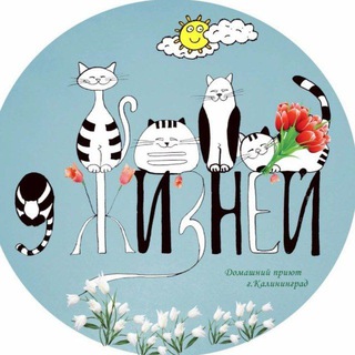 Логотип @kld_9ivescats - Девять жизней