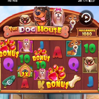 Логотип @klendov0g - ялудоман