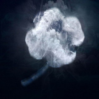 Логотип @kleversnovosty - Клевер вести