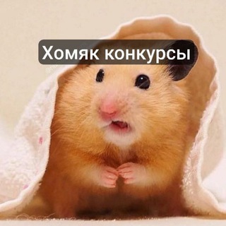 Логотип @klickerhamster - Хомяк | бот бандит