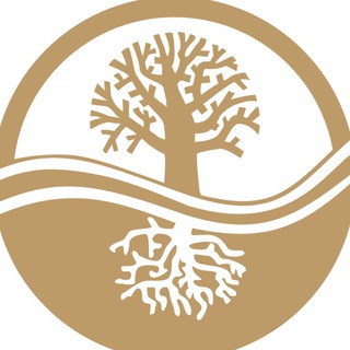 Логотип @klinika_derevozhizni - Klinika_derevozhizni