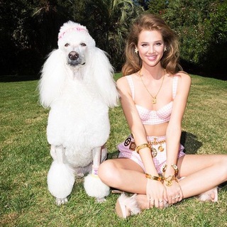 Логотип @kloshargelux - Клошар Гелюкс