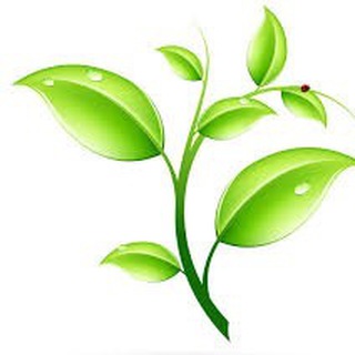 Логотип @klub_zdorov - Клуб здоровья и долголетия