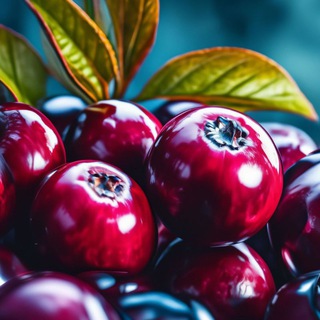 Логотип @klyukva_skidki_wb - Клюква - Находки, скидки, промокоды