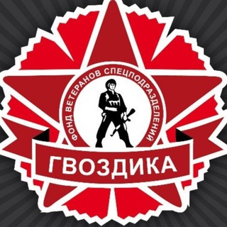 Логотип @kmb_tlt_zhg - ЦВП Гвоздика г. Тольятти