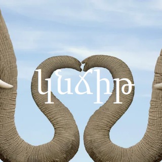 Логотип @knchit - Хобботовский. Наброски 🐘