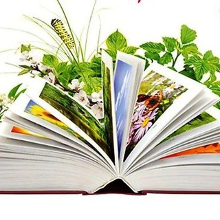 Логотип @kniga_22 - Манушкинская сельская библиотека МБУК "ЦБС м о Чехов"