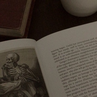 Логотип @knigaboom - Книга