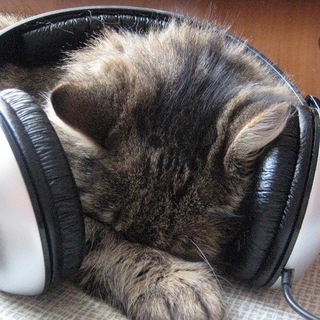 Логотип @knigagood - Аудио книги для взрослых и детей