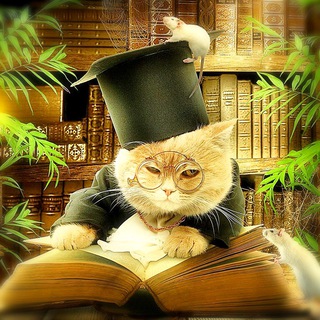 Логотип @knigamodelizm - Книгaмоделизм