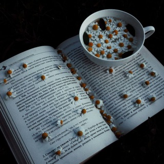 Логотип @knigi_mdrv - 📚правильные книги