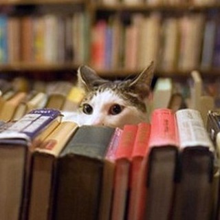 Логотип @knigi_po_istorii - Книги по истории и не только