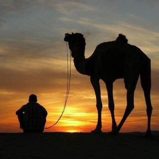 Логотип @knigi_studentam - Mukhammad о Египте 🇪🇬