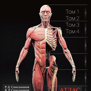 Логотип @knigifiit - Литература. PDF