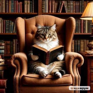 Логотип @knigikinokotiki - книги, кино и котики