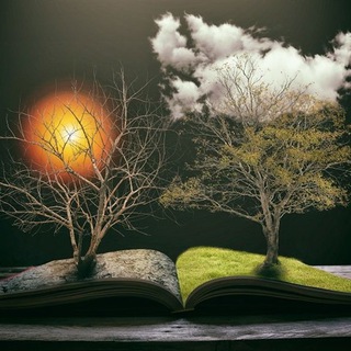 Логотип @knigikultura - Цитаты 📚