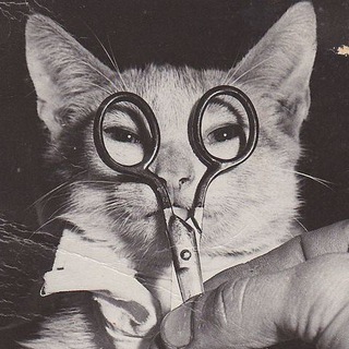 Логотип @knigiri - Книгири