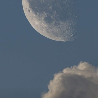 Логотип @knigome - Книголюб.