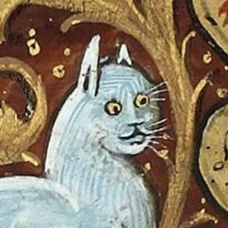 Логотип @knigomeow - Книгомяу