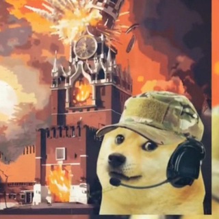 Логотип @knilm - Kwelt🇺🇦