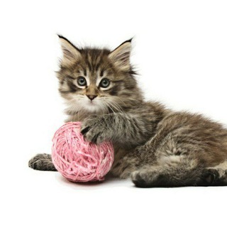 Логотип @knit_kids - Вязание детям - схемы, МК, фото!