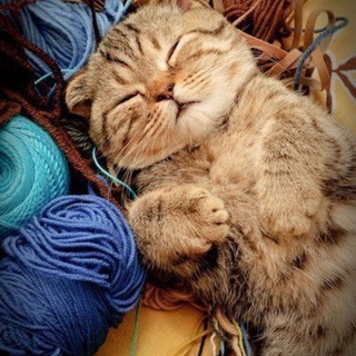 Логотип @knitt_socks - Вязаные носки🧦