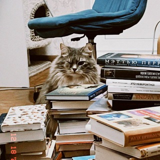 Логотип @knizhkikatyadvakota - Книжки, Катя, Два кота✨