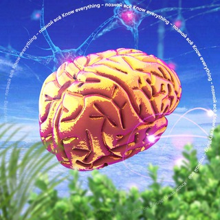 Логотип @knoweverythi - 🔍 Know everything - познай все