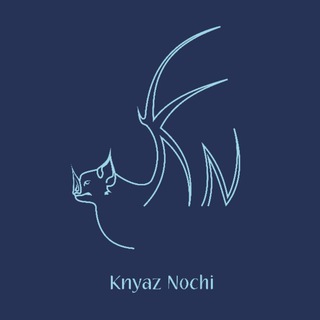 Логотип @knyaz_nochi - Knyaz Nochi