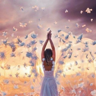 Логотип @knyshevaolga - Knysheva.o.