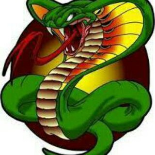 Логотип @kobra_ukr - Передова Кобра🐍