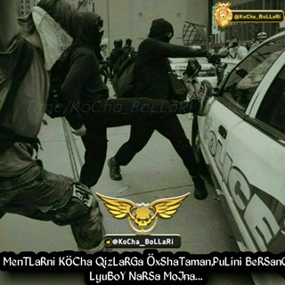 Логотип @kochadagil - Kocha BOLLARI