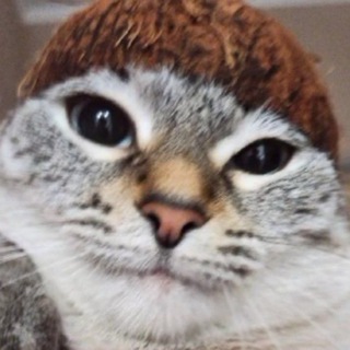 Логотип @kochatokohi - коча