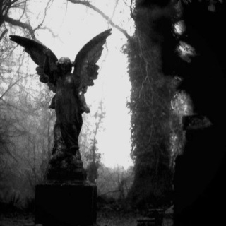 Логотип @kodaanlaa - дюдюка.