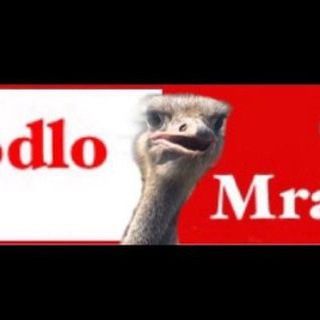 Логотип @kodlomrazy - КодломраZи