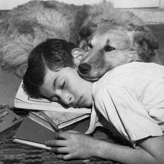 Логотип @koiinonia - Только удивление знает