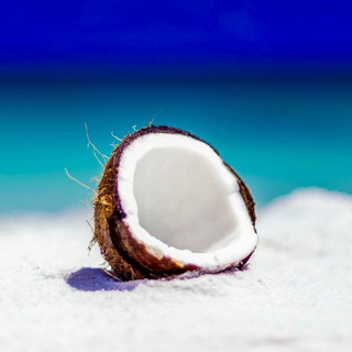 Логотип @kokosstudiosliv - 🥥 Kokos Studio 🥥